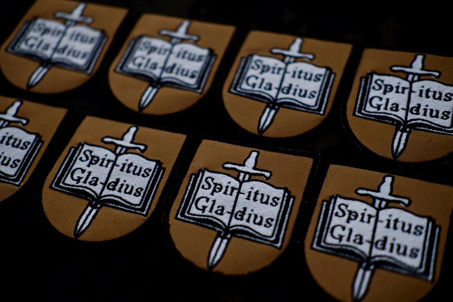 SPIRITUS GLADIUS